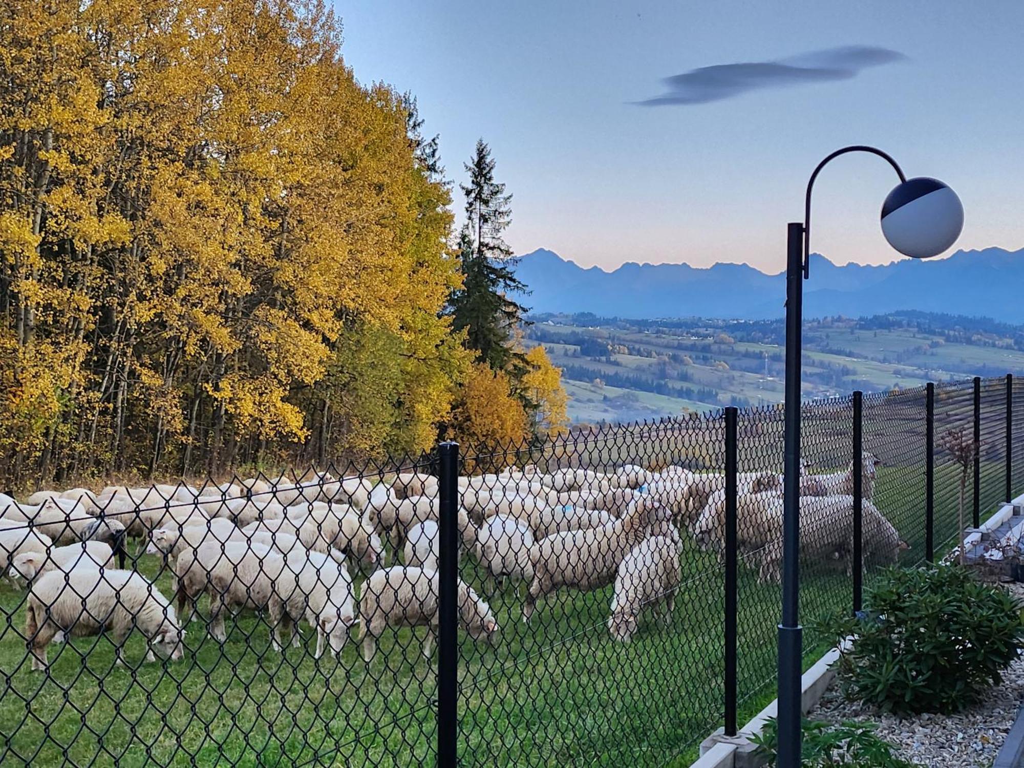 Dworek Nad Jalowcami Biały Dunajec Esterno foto